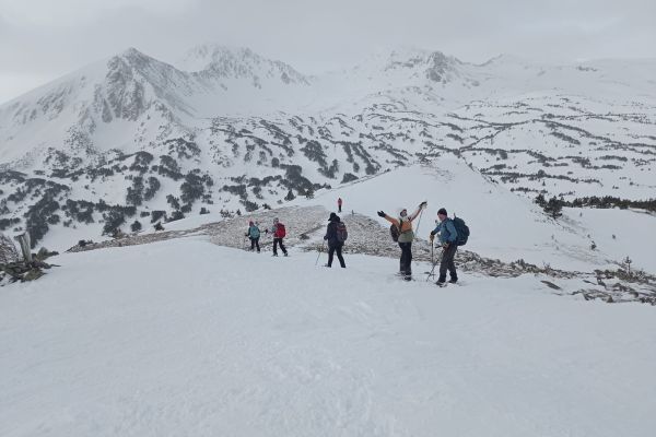 découverte raquettes à neige